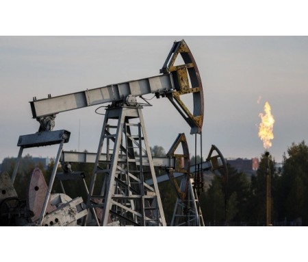 РБК: Новак допустил стоимость нефти $100 за баррель в 2035 году